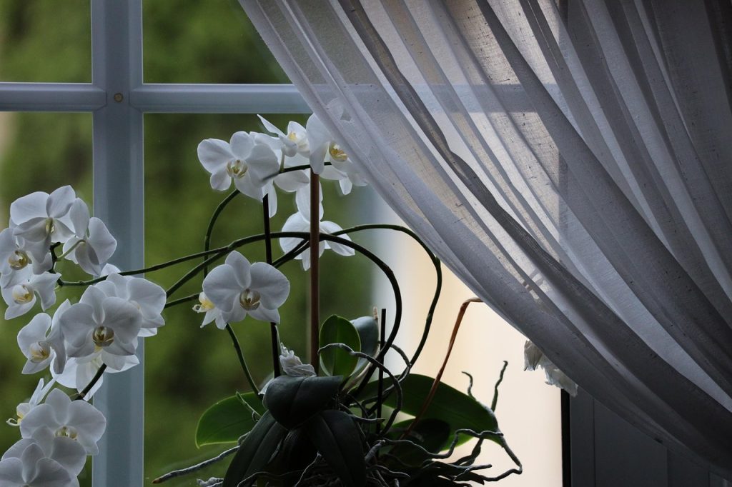 Astuces inventives pour attacher vos rideaux avec style et élégance