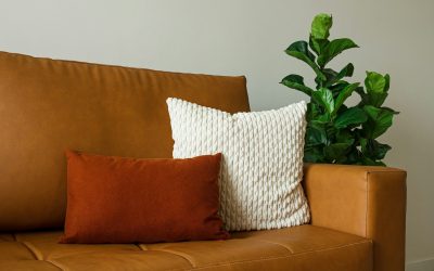 mousse pour coussin de canapé
